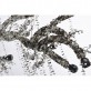 AM3010 BRANCH